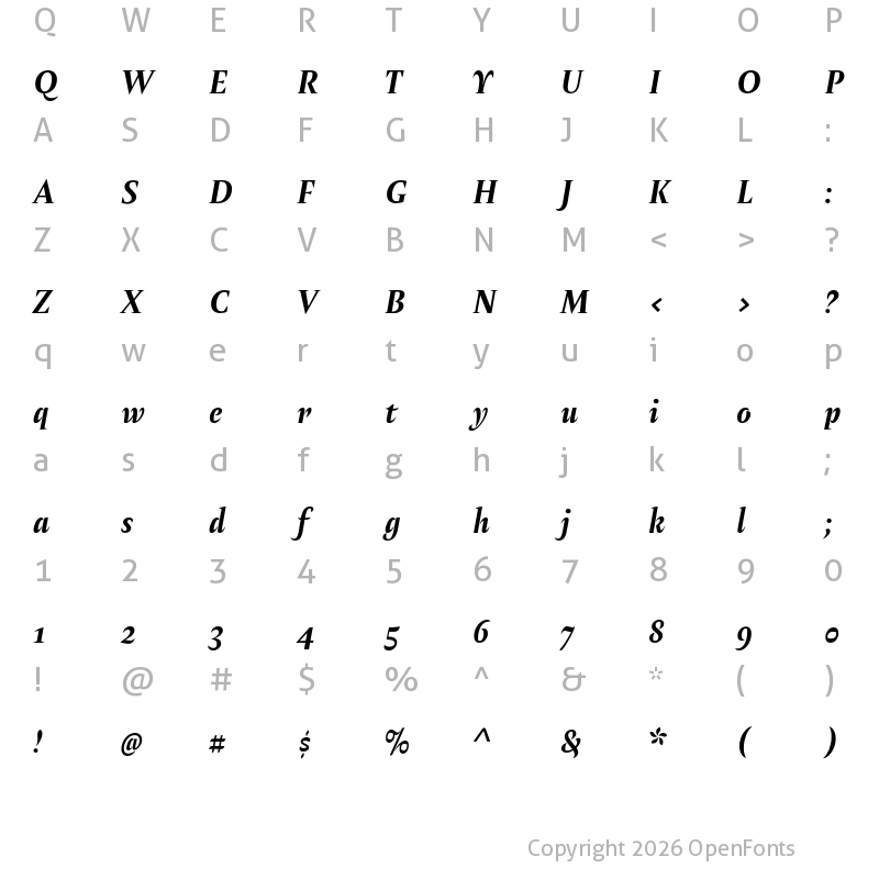 Character Map of Amster Bold Italic