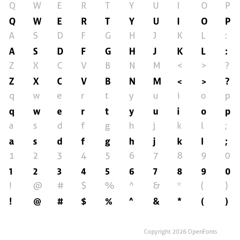 Character Map of Bernina Sans Narrow Bold