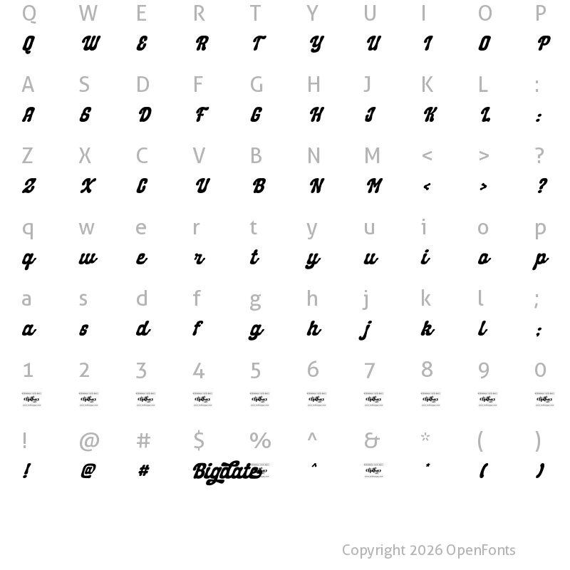 Character Map of Bigdate Personal Use Regular