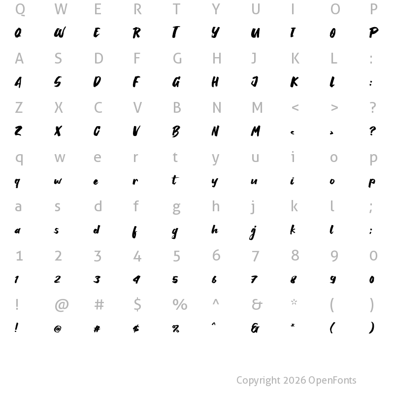 Character Map of Breaking Wild Regular