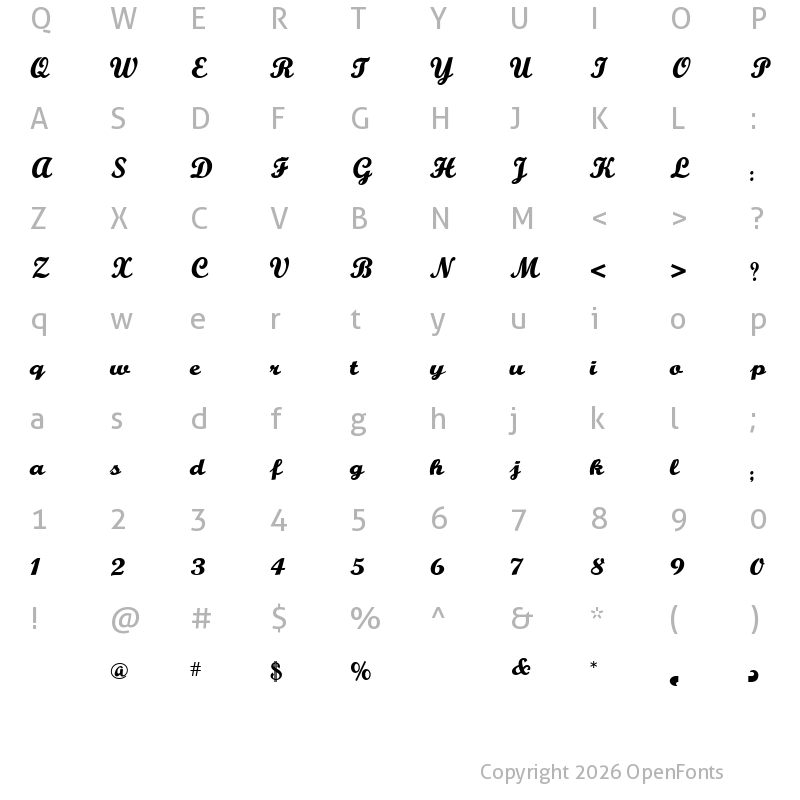 Character Map of Buffalo Nickel Regular