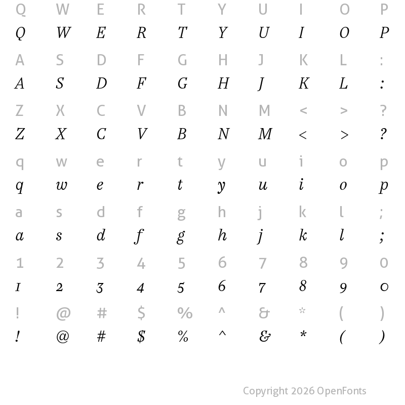 Character Map of Casus Pro Light Italic
