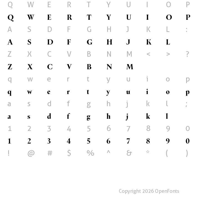 Character Map of Dupincel Large Test Black