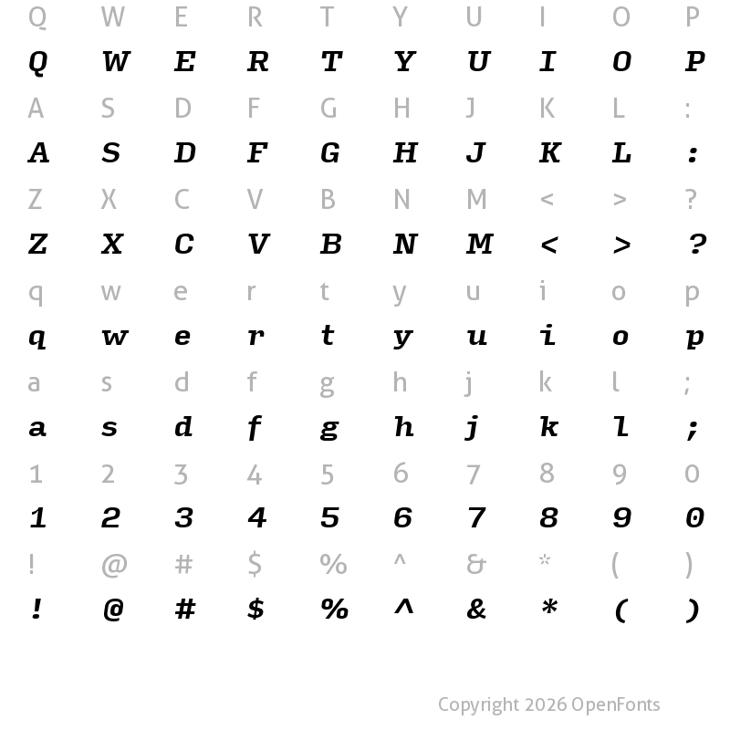 Character Map of Input Serif Bold Italic