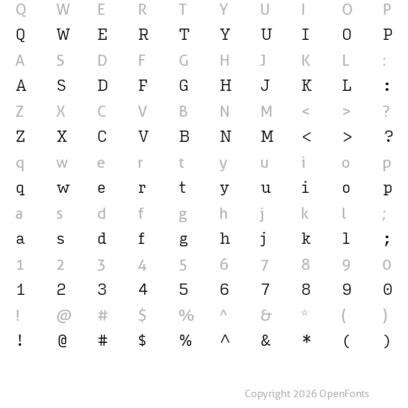 Character Map of Input Serif Narrow Light