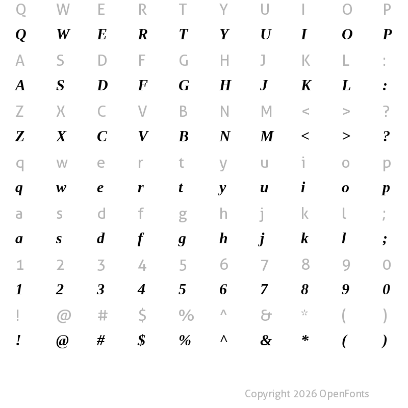 Character Map of Liberation Serif Bold Italic