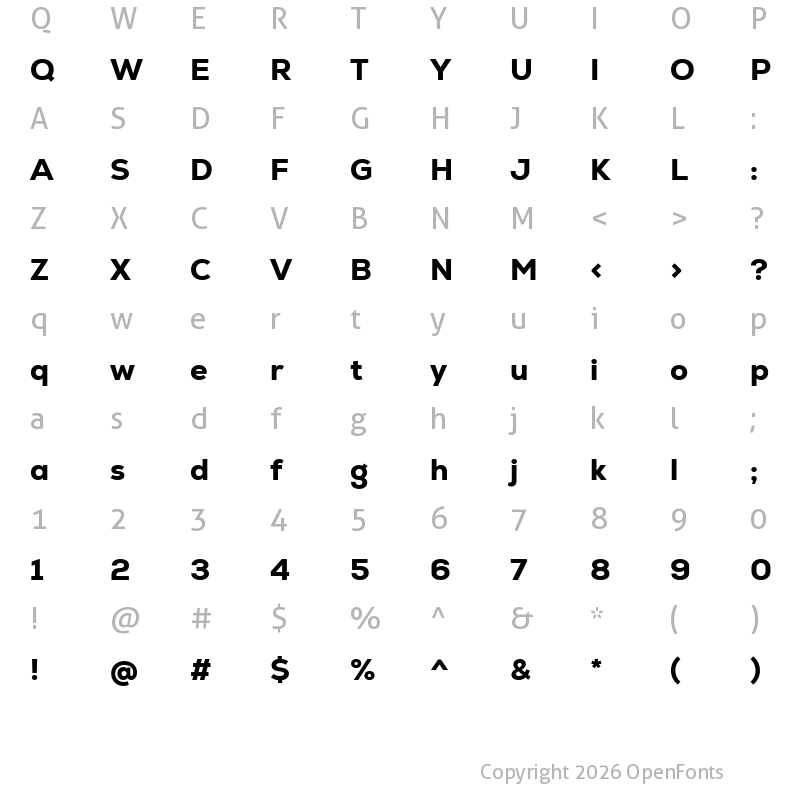 Character Map of Nexa Heavy