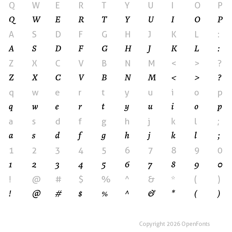 Character Map of Noort Book Italic