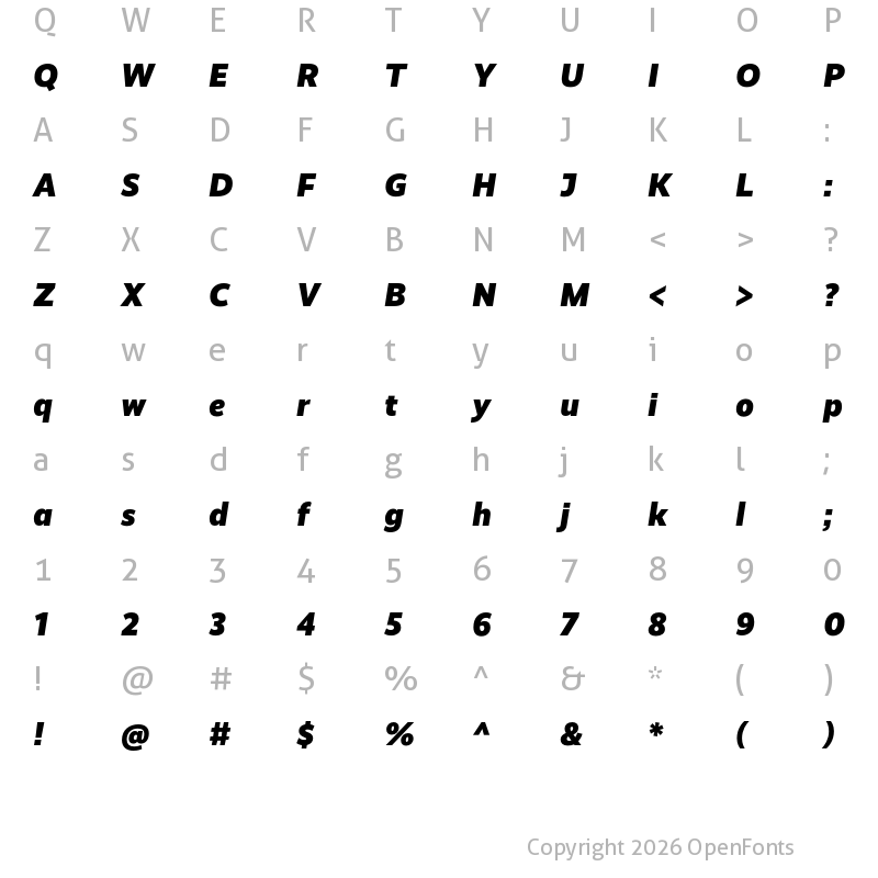 Character Map of Realist Black Italic