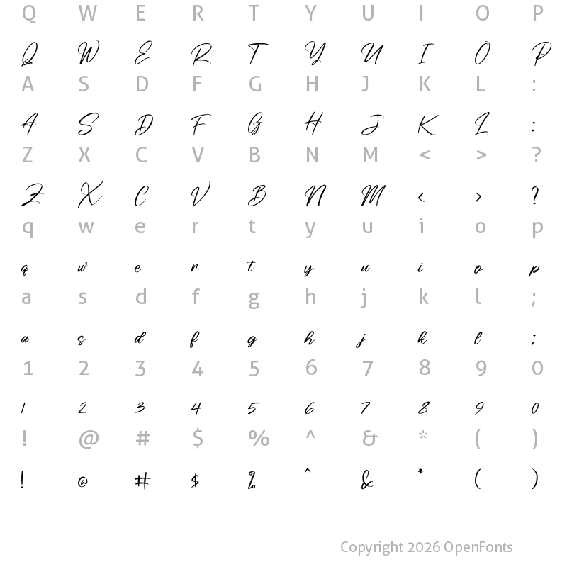 Character Map of Risess Singature Regular
