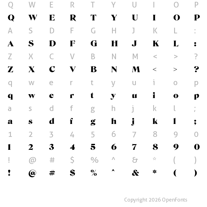 Character Map of Roslindale Display Black