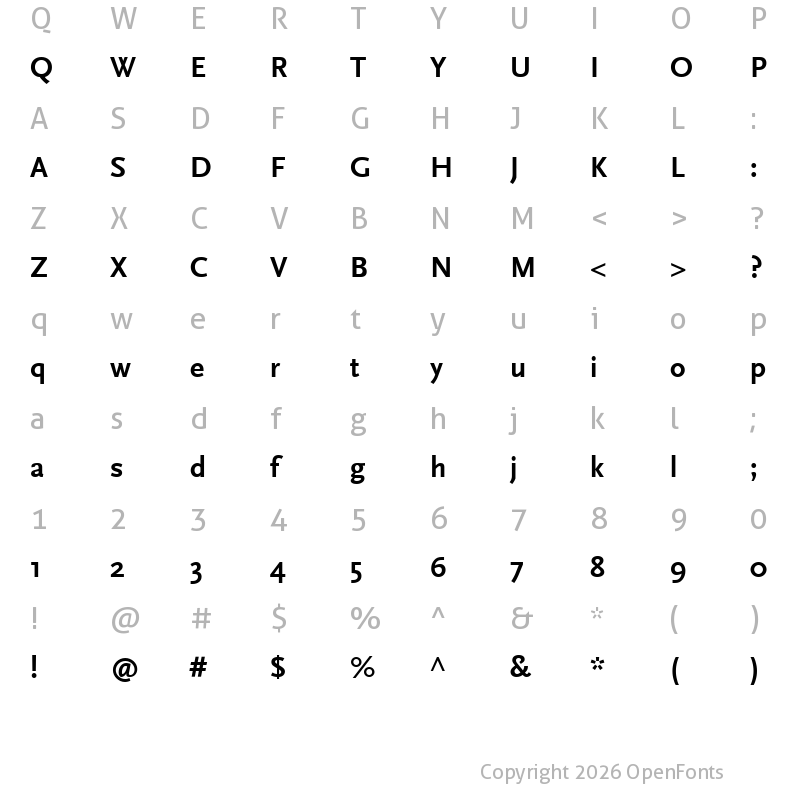 Character Map of ScalaSansW04-Bold Regular