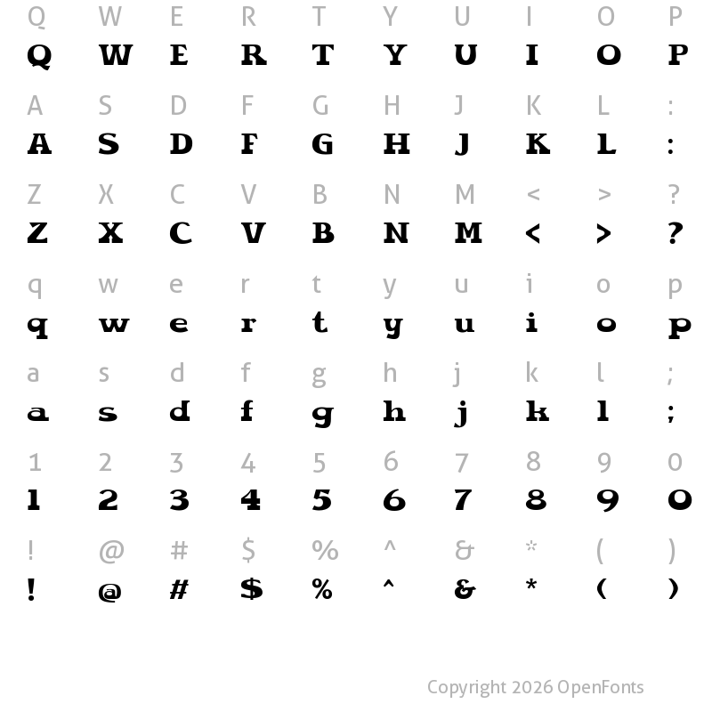 Character Map of Spaice Personal Use Heavy