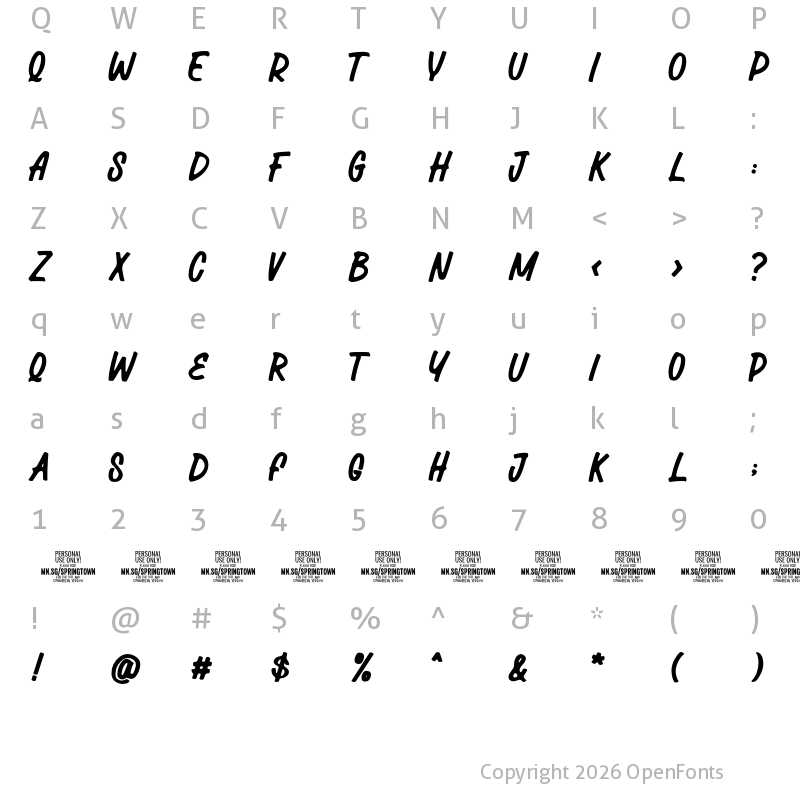 Character Map of Springtown Market PERSONAL Regular