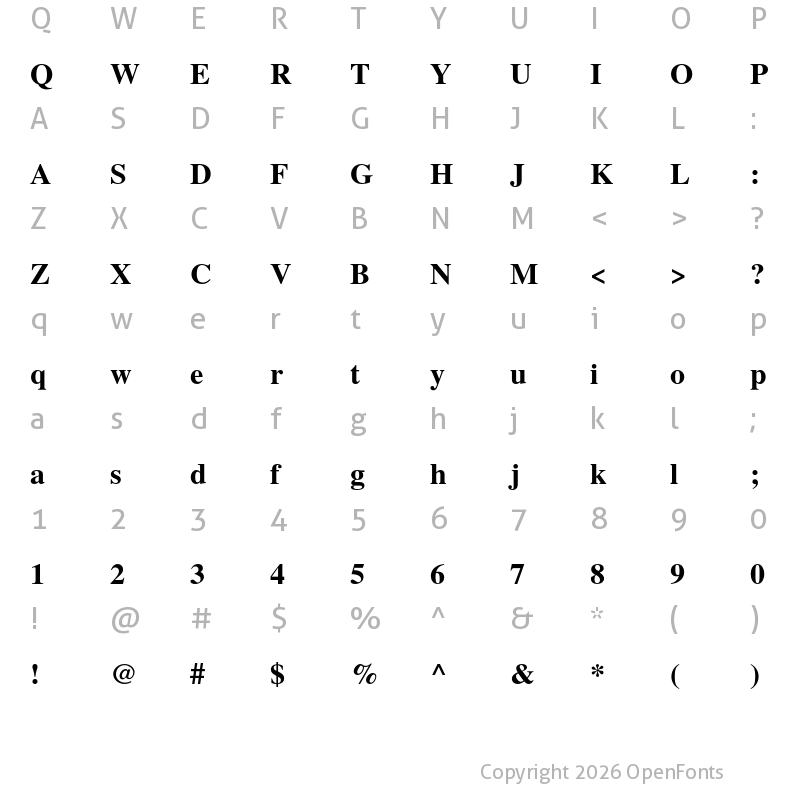 Character Map of TeX Gyre Termes Bold