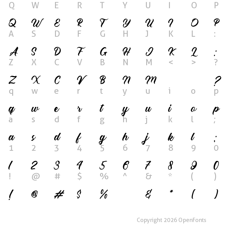 Character Map of The Director Script Regular