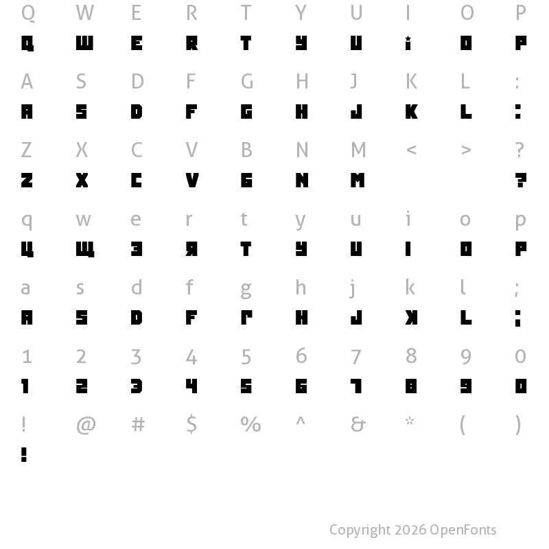 Character Map of Tokarev Regular