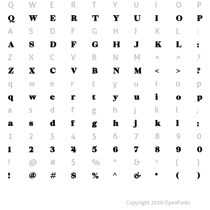 Character Map of ZT Chintzy Heavy